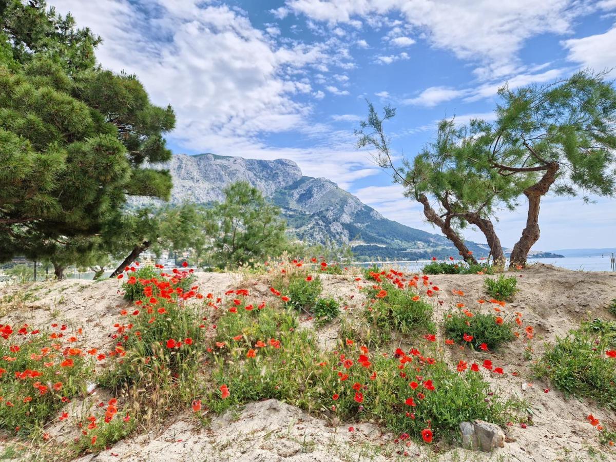Apartman River Breeze Omiš Exteriör bild